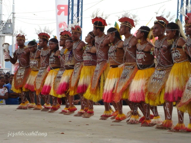 Papua Pu Budaya